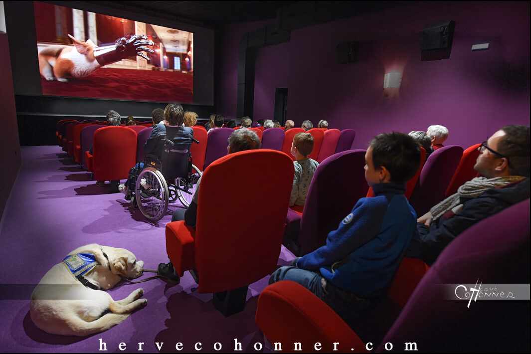 Cinéma Le Vulcain